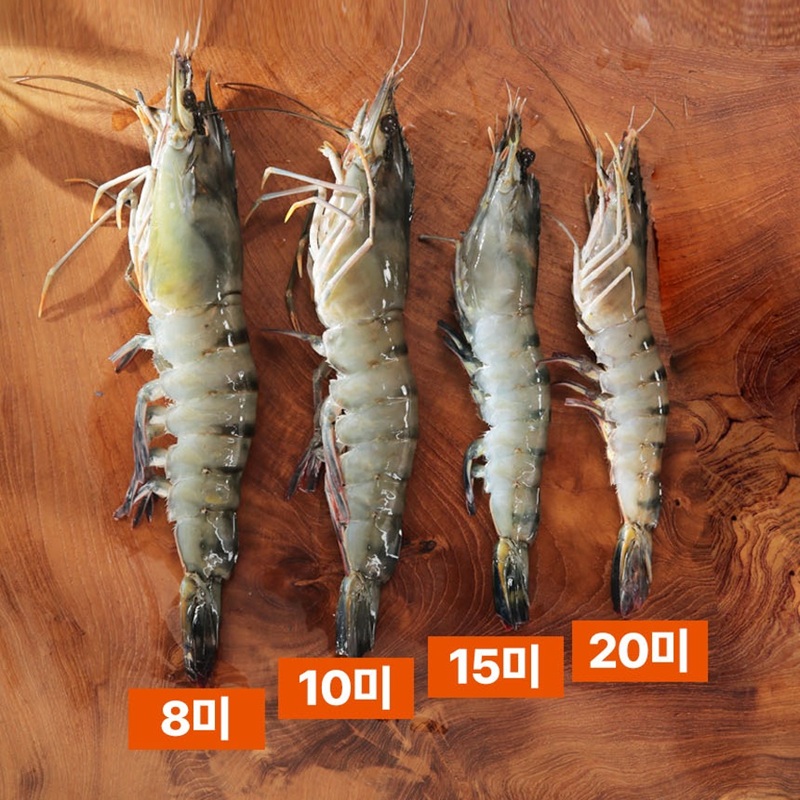 맛투데이 면세[맛투데이] 블랙타이거 새우 500g (10미), 솔직 후기 (장단점 다 적음)